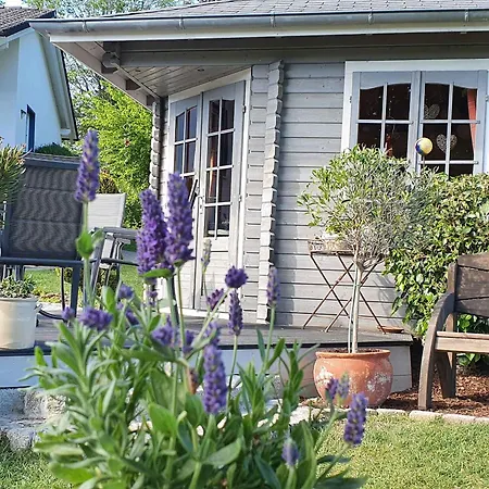 Schmallenberger Auszeit Apartament *